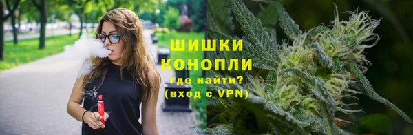 ПСИЛОЦИБИНОВЫЕ ГРИБЫ Алексин