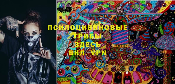 ПСИЛОЦИБИНОВЫЕ ГРИБЫ Алексин
