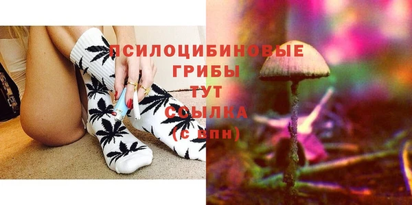 ПСИЛОЦИБИНОВЫЕ ГРИБЫ Алексин