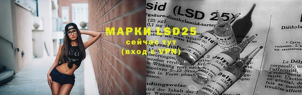 ПСИЛОЦИБИНОВЫЕ ГРИБЫ Алексин